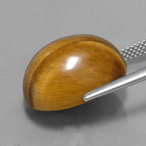 16.78 карата, натуральный Золотисто-коричневый Тигровый глаз, Огранка Овал, Непрозрачный