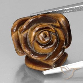 11.30ct Натуральный Карамельный коричневый Тигриный Глаз, причудливая, Непрозрачный