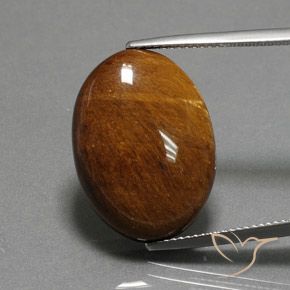 19.12ct Натуральный Теплый коричневый Тигриный Глаз, Овал, Непрозрачный