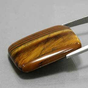 47.03 карата, натуральный Золотисто-коричневый Тигровый глаз, Подушка Крой, Непрозрачный