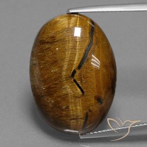 25.02ct Натуральный Теплый коричневый Тигриный Глаз, Овал, Непрозрачный