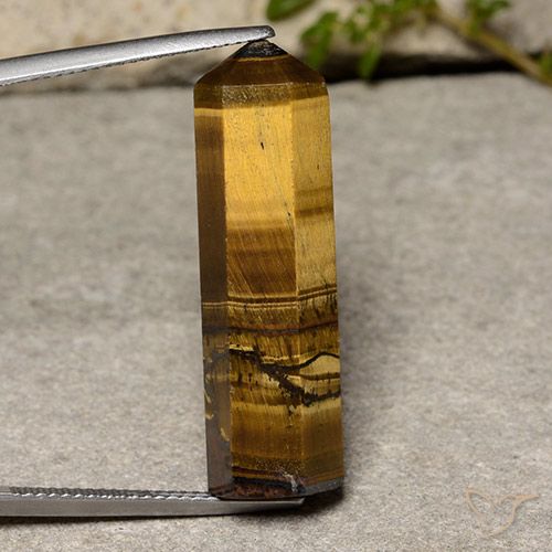 21.64ct Натуральный Теплый коричневый Тигриный Глаз, причудливая, Непрозрачный