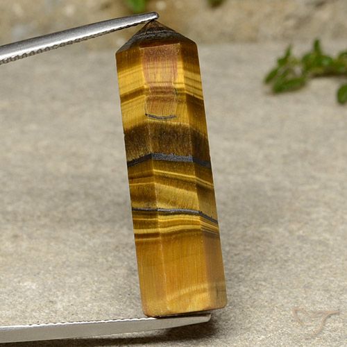 22.27ct Натуральный Золотисто-коричневый Тигриный Глаз, причудливая, Непрозрачный