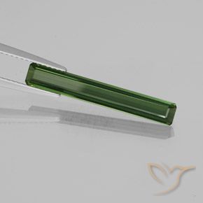 2.21 карата, натуральный Глубокий лесной зеленый Турмалин, Октагон / Изумрудная Огранка, Чистота VVS