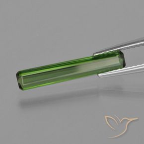 1.21 карата, натуральный Средний зеленый Турмалин, Октагон / Изумрудная Огранка, Чистота VS