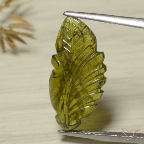 4.75ct Натуральный Теплый зеленый Турмалин, причудливая, Полупрозрачный