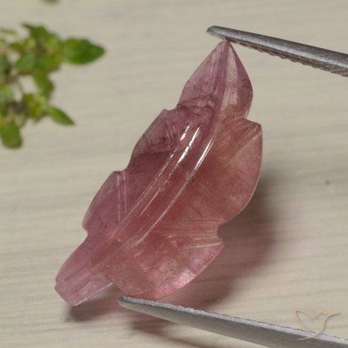 7.02ct Натуральный Двуцветный Турмалин, причудливая, Полупрозрачный
