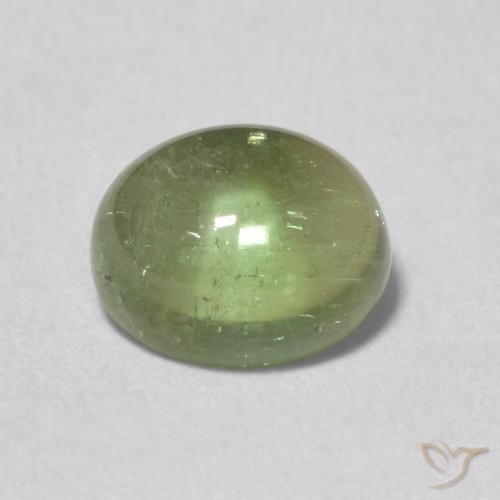 1.41ct Натуральный Земля зеленый Турмалин, Овал, Прозрачный