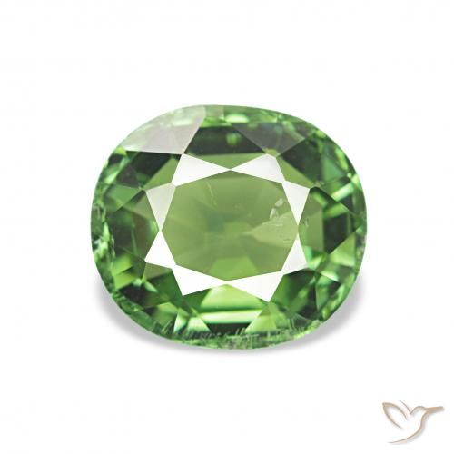 1.32ct Темно-зеленый Турмалин, Овал, Чистота VS