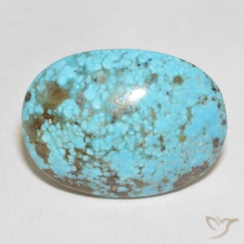 48.31ct Натуральный Зеленовато-синий Бирюзовый, Овал, Непрозрачный
