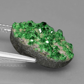 9.86 карата, натуральный Deep Earthy Green Уваровит Гранат Друзи, причудливая, Непрозрачный